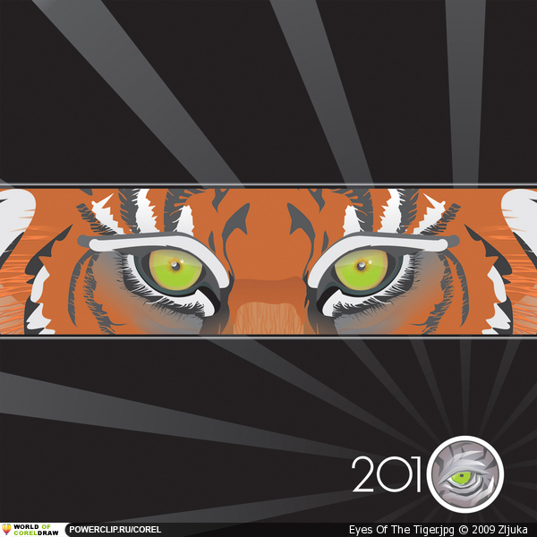 Eyes Of The Tiger.jpg