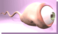 864_44153d8145e8c.gif 195X115 px