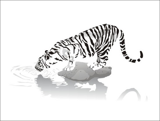 Vector Constructor :  Белый тигр(Векторная графика и иллюстрация)