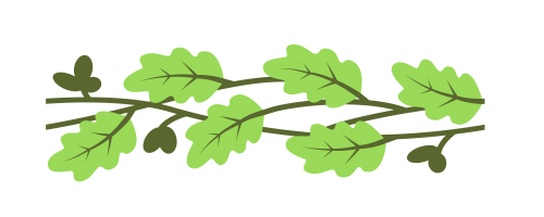 Узоры :  Орнамент из листьев дуба(Векторная графика и иллюстрация)