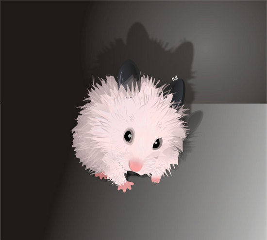 Vector Constructor :  hamster(Векторная графика и иллюстрация)