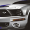 shelby GT500